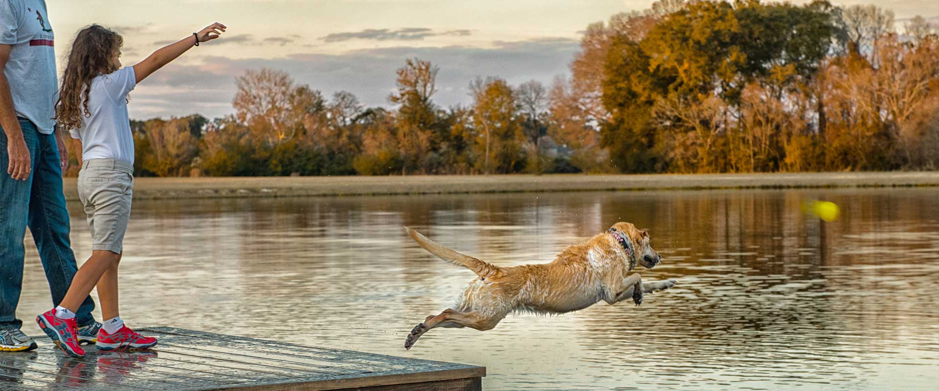page image content dog pond